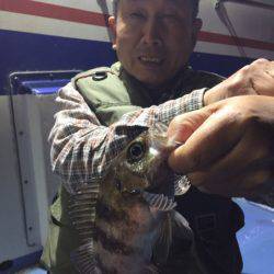 ヤザワ渡船 釣果