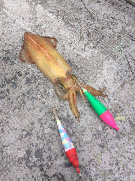 第二 海洋丸 釣果