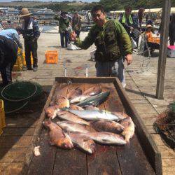 釣り堀水宝 釣果