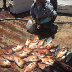 釣り堀水宝 釣果