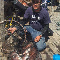 釣り堀水宝 釣果