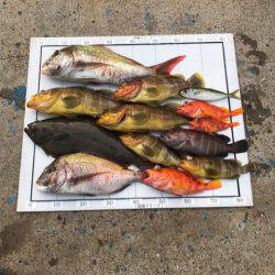 Monster Rush! 釣果