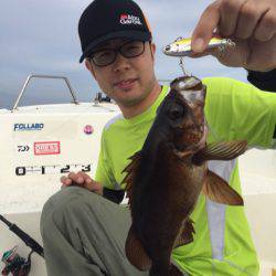 「LaGooN」蒼陽丸 日和号　 釣果