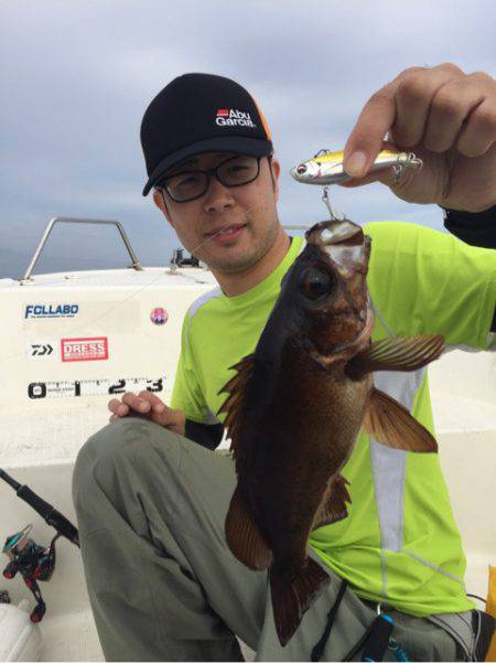 「LaGooN」蒼陽丸 日和号　 釣果