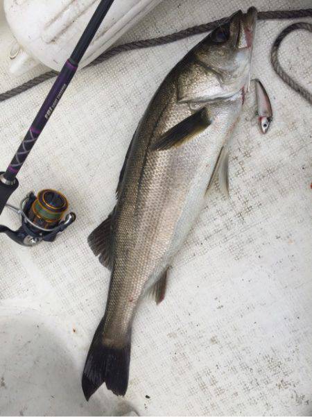 「LaGooN」蒼陽丸 日和号　 釣果
