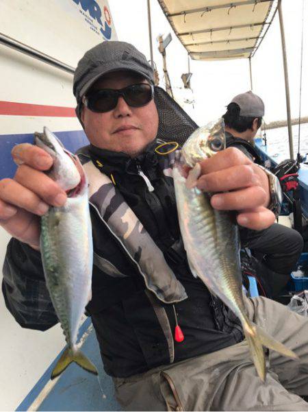 ヤザワ渡船 釣果