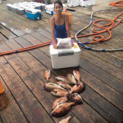 釣り堀水宝 釣果