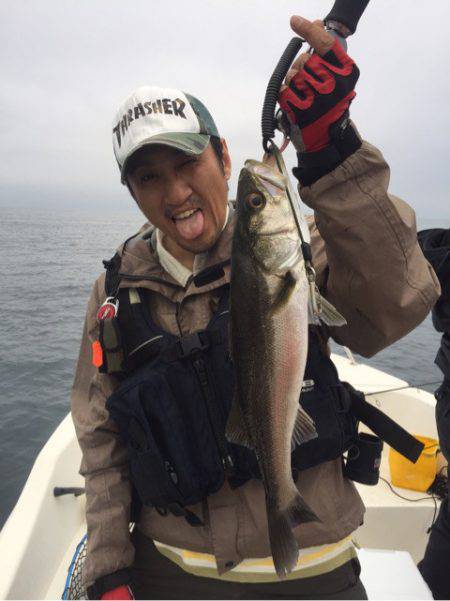 「LaGooN」蒼陽丸 日和号 釣果