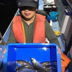 ヤザワ渡船 釣果