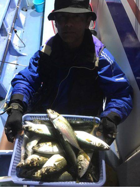 ヤザワ渡船 釣果