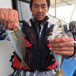 ヤザワ渡船 釣果