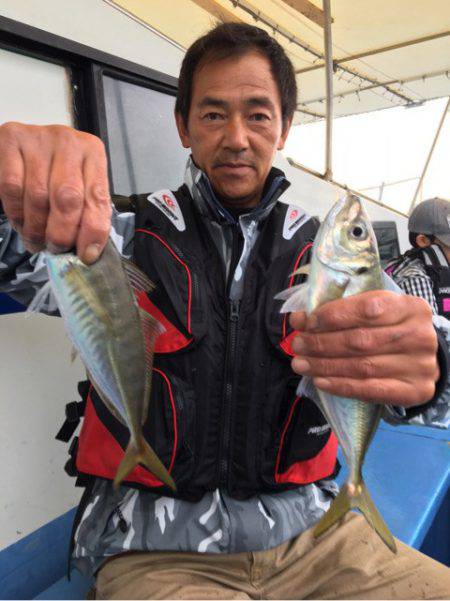ヤザワ渡船 釣果