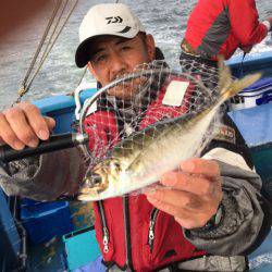 ヤザワ渡船 釣果