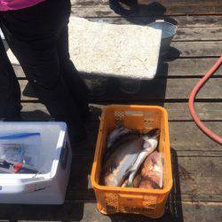 釣り堀水宝 釣果