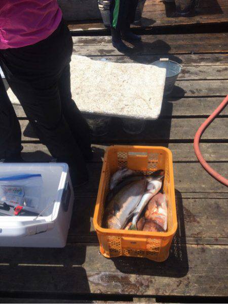 釣り堀水宝 釣果