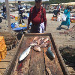 釣り堀水宝 釣果