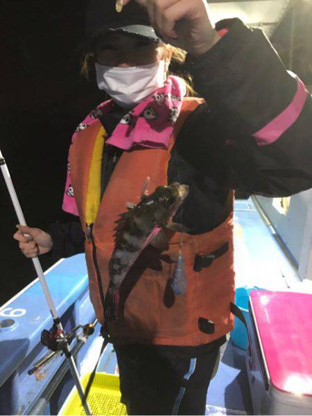 ヤザワ渡船 釣果