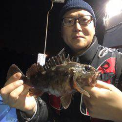 ヤザワ渡船 釣果