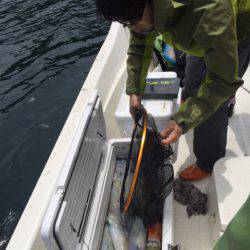 「LaGooN」蒼陽丸 日和号　 釣果