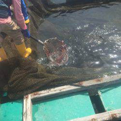 釣り堀水宝 釣果