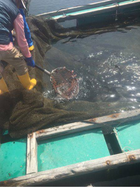 釣り堀水宝 釣果