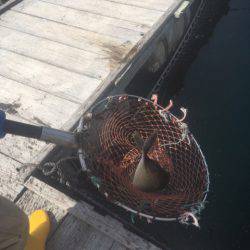 釣り堀水宝 釣果