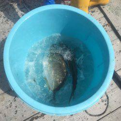 釣り堀水宝 釣果