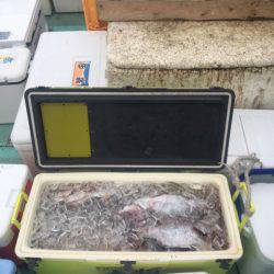 釣り堀水宝 釣果