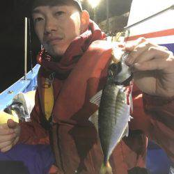 ヤザワ渡船 釣果