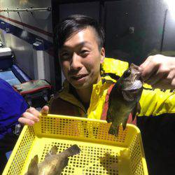 ヤザワ渡船 釣果