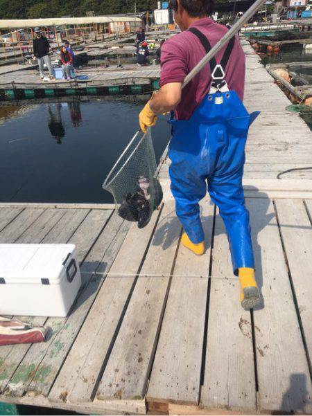 釣り堀水宝 釣果