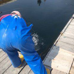 釣り堀水宝 釣果
