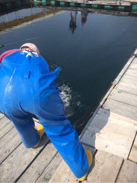 釣り堀水宝 釣果