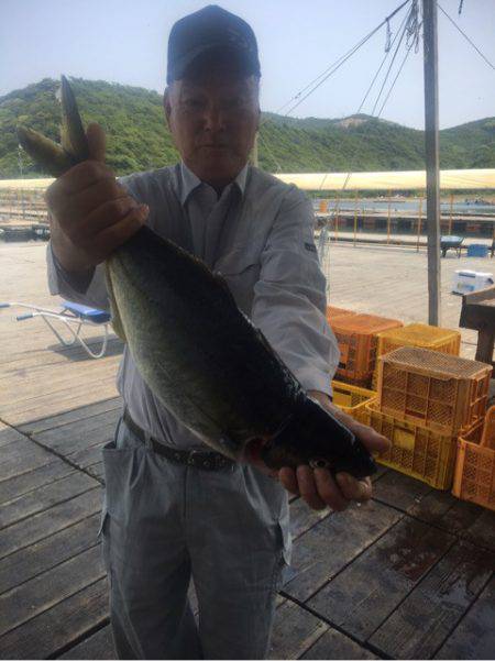 釣り堀水宝 釣果