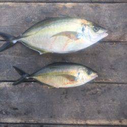 釣り堀水宝 釣果