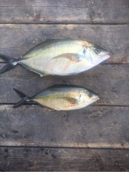 釣り堀水宝 釣果