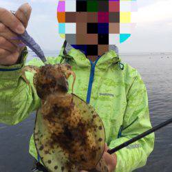 「LaGooN」蒼陽丸 日和号　 釣果