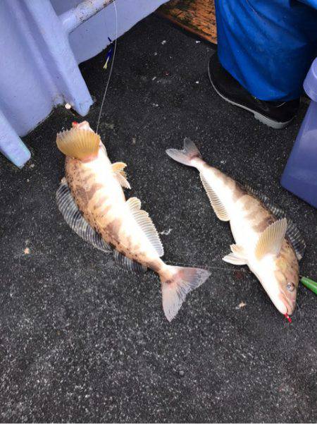 第二 つれたか丸 釣果