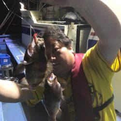 ヤザワ渡船 釣果