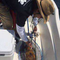 「LaGooN」蒼陽丸 日和号　 釣果