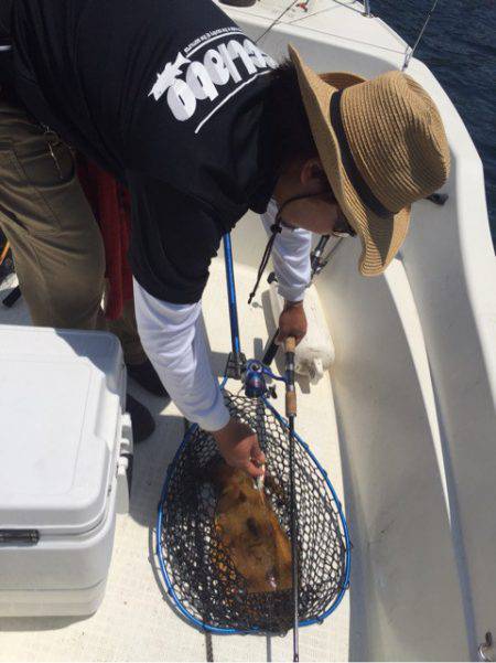 「LaGooN」蒼陽丸 日和号　 釣果