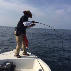 「LaGooN」蒼陽丸 日和号　 釣果