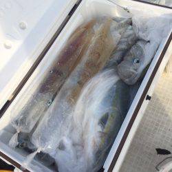 「LaGooN」蒼陽丸 日和号　 釣果