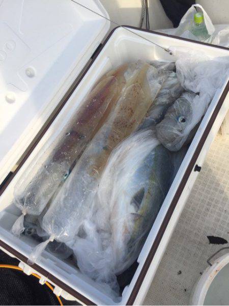 「LaGooN」蒼陽丸 日和号　 釣果