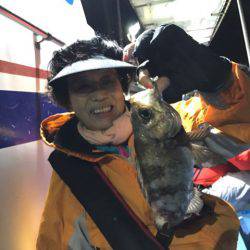 ヤザワ渡船 釣果