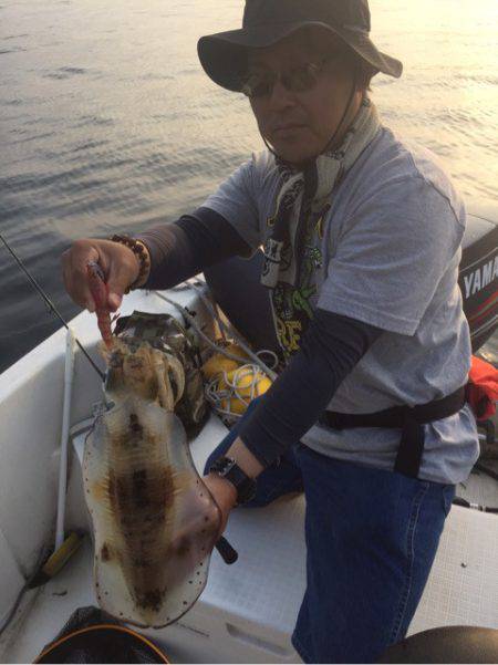 「LaGooN」蒼陽丸 日和号 釣果