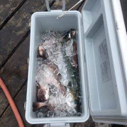 釣り堀水宝 釣果