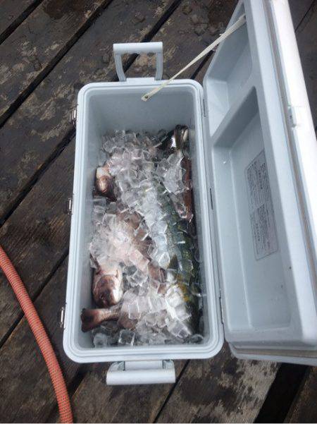 釣り堀水宝 釣果