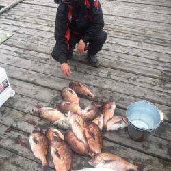 釣り堀水宝 釣果