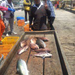 釣り堀水宝 釣果